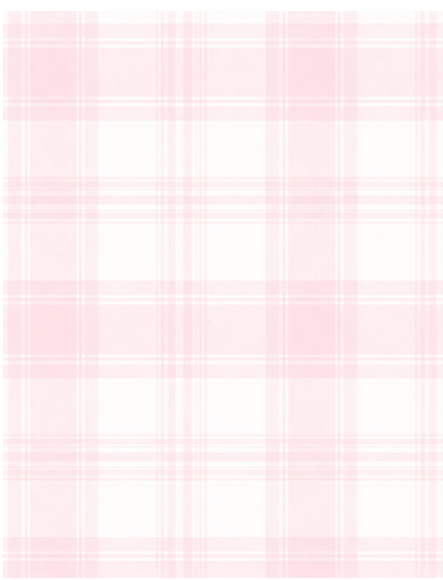 Pink Plaid | Small Cosmetic Pouch