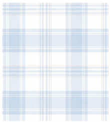 Blue Plaid | Backpack thumbnail 2
