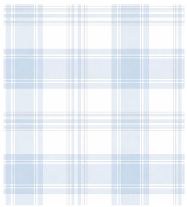 Blue Plaid | Backpack